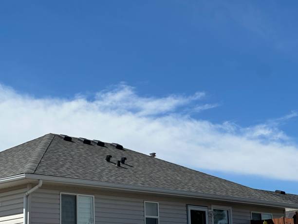 Fast & Reliable Emergency Roof Repairs in Dent, OH